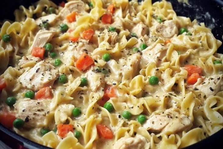 Chicken Pot Pie Noodle Skillet Recipe